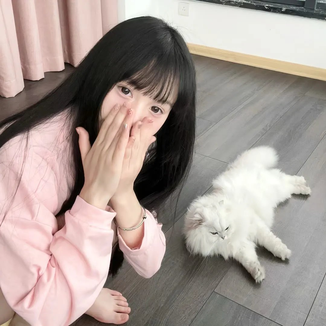 莎莉玛大冒险